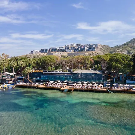 Unique Life Style Hotel